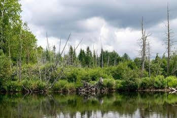 Placid Inn: Residences 4* Lake Placid